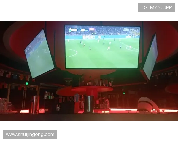 全球顶级足球场VIP看台的装修风格