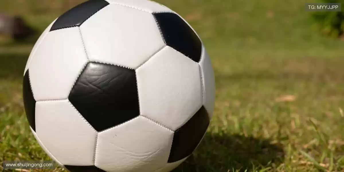 🏃‍♀️全民运动，健康生活！📅赛事日历，开启你的运动新纪元！